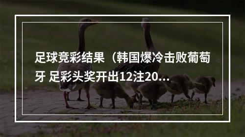 足球竞彩结果（韩国爆冷击败葡萄牙 足彩头奖开出12注206万元）