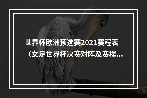 世界杯欧洲预选赛2021赛程表（女足世界杯决赛对阵及赛程出炉）