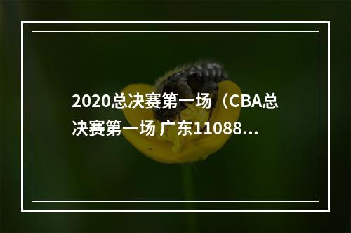 2020总决赛第一场（CBA总决赛第一场 广东11088大胜辽宁）