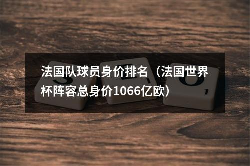 法国队球员身价排名（法国世界杯阵容总身价1066亿欧）