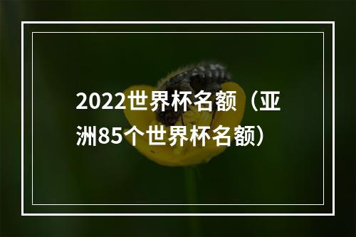 2022世界杯名额（亚洲85个世界杯名额）