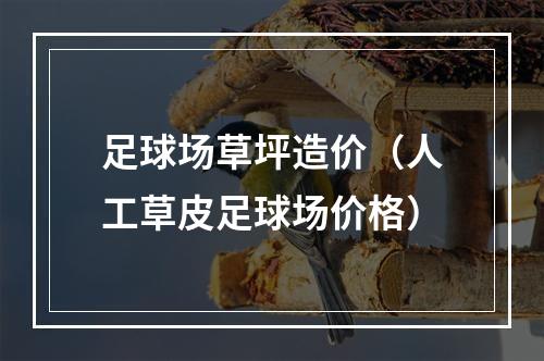 足球场草坪造价（人工草皮足球场价格）