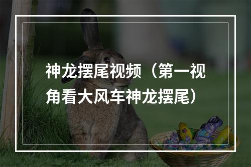 神龙摆尾视频（第一视角看大风车神龙摆尾）