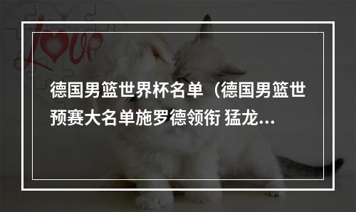 德国男篮世界杯名单（德国男篮世预赛大名单施罗德领衔 猛龙球员邦加在列）