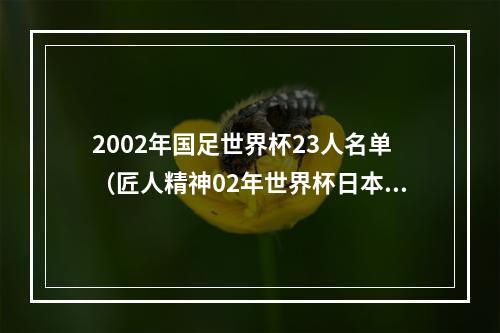 2002年国足世界杯23人名单（匠人精神02年世界杯日本国脚有8人未退役）