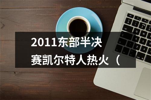 2011东部半决赛凯尔特人热火（