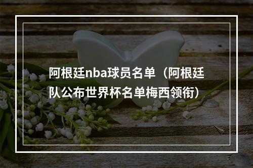 阿根廷nba球员名单（阿根廷队公布世界杯名单梅西领衔）