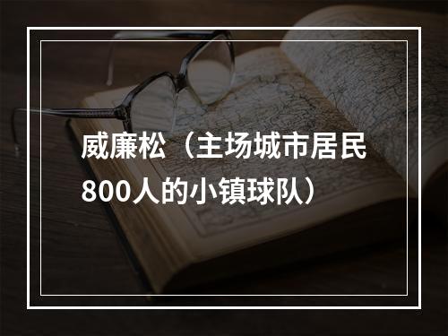 威廉松（主场城市居民800人的小镇球队）