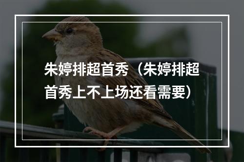 朱婷排超首秀（朱婷排超首秀上不上场还看需要）