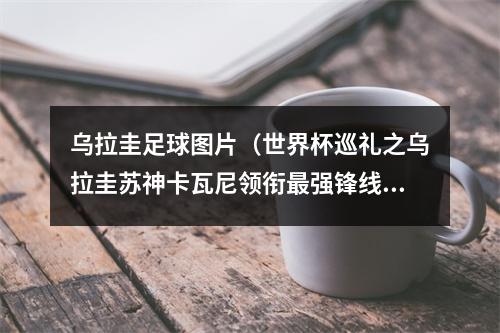 乌拉圭足球图片（世界杯巡礼之乌拉圭苏神卡瓦尼领衔最强锋线 11载老帅谢幕战）