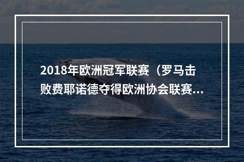 2018年欧洲冠军联赛（罗马击败费耶诺德夺得欧洲协会联赛冠军）