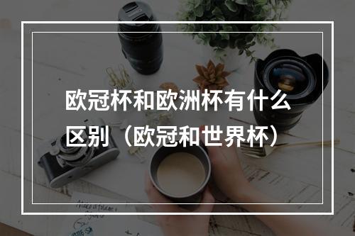 欧冠杯和欧洲杯有什么区别（欧冠和世界杯）