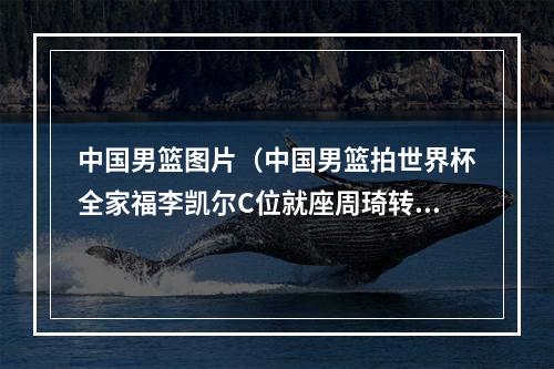 中国男篮图片（中国男篮拍世界杯全家福李凯尔C位就座周琦转会终落听笑容灿烂）