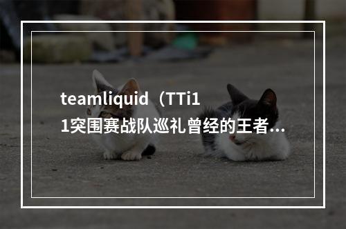 teamliquid（TTi11突围赛战队巡礼曾经的王者 冠军俱乐部Liquid）