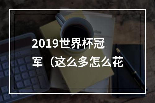 2019世界杯冠军（这么多怎么花