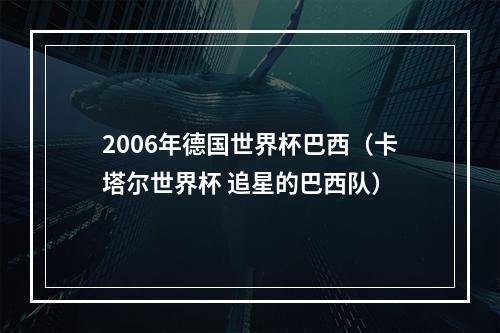 2006年德国世界杯巴西（卡塔尔世界杯 追星的巴西队）