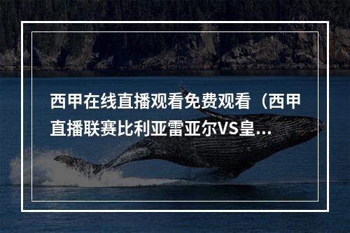 西甲在线直播观看免费观看（西甲直播联赛比利亚雷亚尔VS皇家马德里）