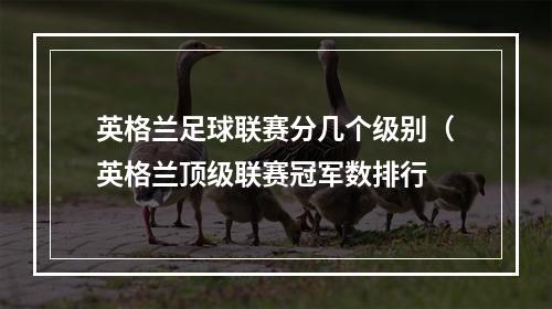 英格兰足球联赛分几个级别（英格兰顶级联赛冠军数排行