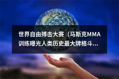 世界自由搏击大赛（马斯克MMA训练曝光人类历史最大牌格斗赛来了）