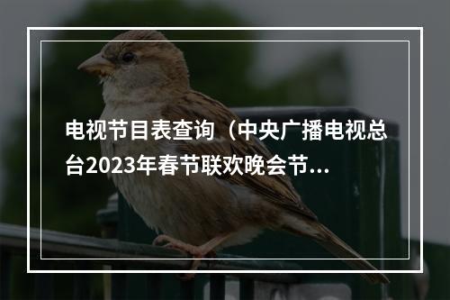 电视节目表查询（中央广播电视总台2023年春节联欢晚会节目单发布）