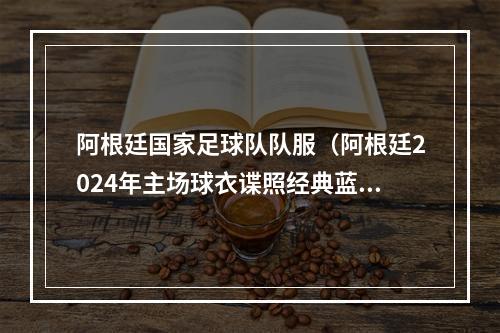 阿根廷国家足球队队服（阿根廷2024年主场球衣谍照经典蓝白配色金色字体）