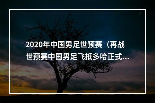 2020年中国男足世预赛（再战世预赛中国男足飞抵多哈正式开启十强赛征程）