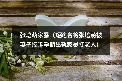 张培萌家暴（短跑名将张培萌被妻子控诉孕期出轨家暴打老人）