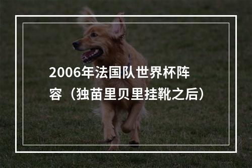 2006年法国队世界杯阵容（独苗里贝里挂靴之后）