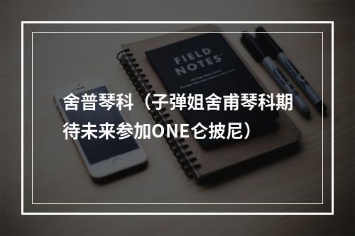 舍普琴科（子弹姐舍甫琴科期待未来参加ONE仑披尼）