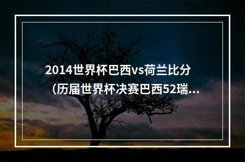 2014世界杯巴西vs荷兰比分（历届世界杯决赛巴西52瑞典最大比分 只有两次点球大战）