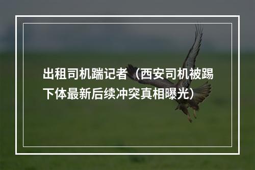 出租司机踹记者（西安司机被踢下体最新后续冲突真相曝光）