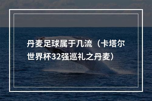 丹麦足球属于几流（卡塔尔世界杯32强巡礼之丹麦）