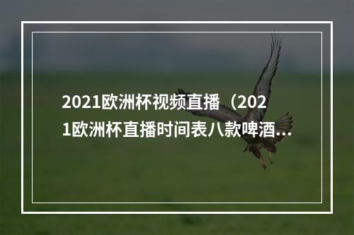 2021欧洲杯视频直播（2021欧洲杯直播时间表八款啤酒推荐）