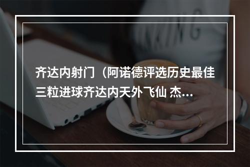 齐达内射门（阿诺德评选历史最佳三粒进球齐达内天外飞仙 杰拉德重炮轰门）