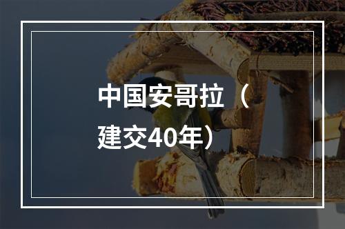 中国安哥拉（建交40年）