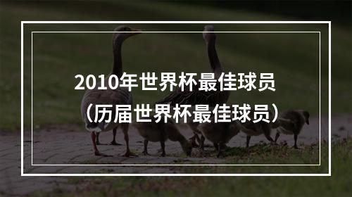 2010年世界杯最佳球员（历届世界杯最佳球员）