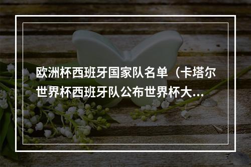 欧洲杯西班牙国家队名单（卡塔尔世界杯西班牙队公布世界杯大名单20人首次出征世界杯）