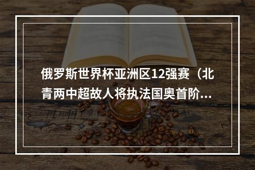 俄罗斯世界杯亚洲区12强赛（北青两中超故人将执法国奥首阶段预选赛 比赛不设VAR）