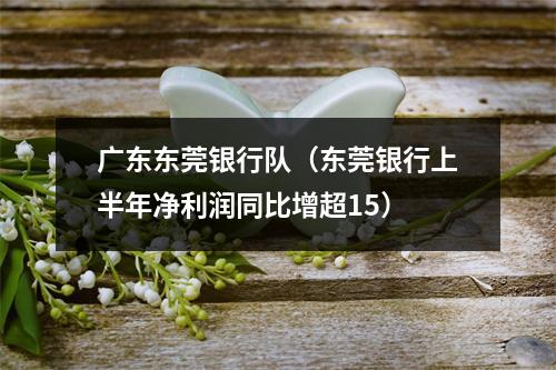 广东东莞银行队（东莞银行上半年净利润同比增超15）