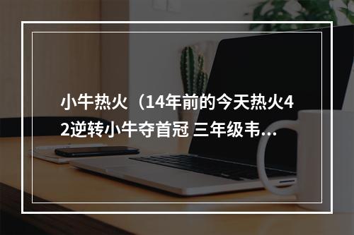 小牛热火（14年前的今天热火42逆转小牛夺首冠 三年级韦德荣膺FMVP）