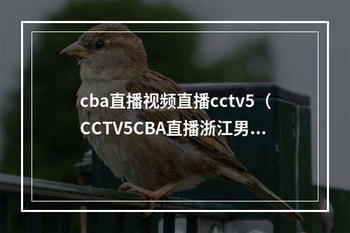 cba直播视频直播cctv5（CCTV5CBA直播浙江男篮vs宁波男篮中文比赛全程高清视频）