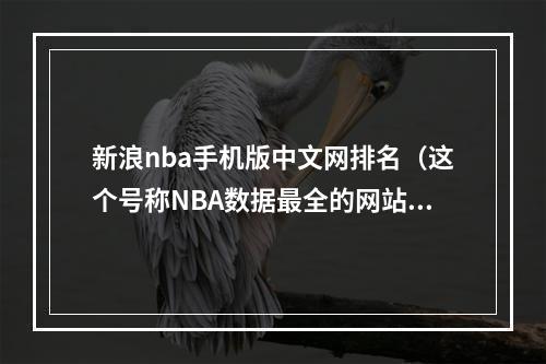 新浪nba手机版中文网排名（这个号称NBA数据最全的网站）