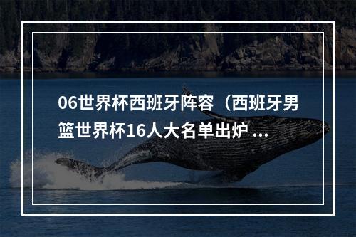 06世界杯西班牙阵容（西班牙男篮世界杯16人大名单出炉 小加索尔卢比奥领衔）