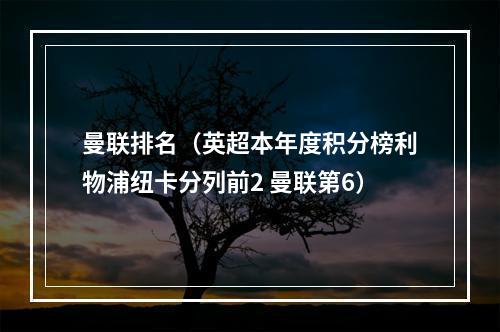 曼联排名（英超本年度积分榜利物浦纽卡分列前2 曼联第6）