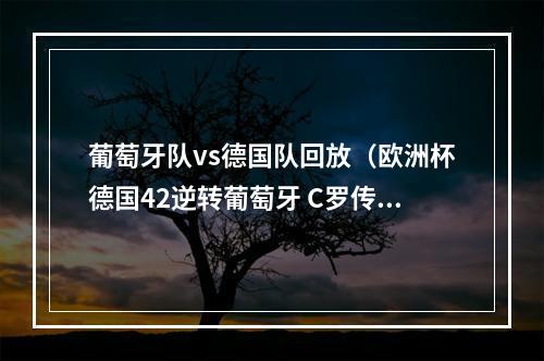 葡萄牙队vs德国队回放（欧洲杯德国42逆转葡萄牙 C罗传射 队友两送乌龙 哈弗茨进球）