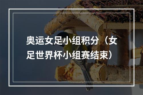 奥运女足小组积分（女足世界杯小组赛结束）