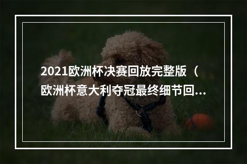 2021欧洲杯决赛回放完整版（欧洲杯意大利夺冠最终细节回看）