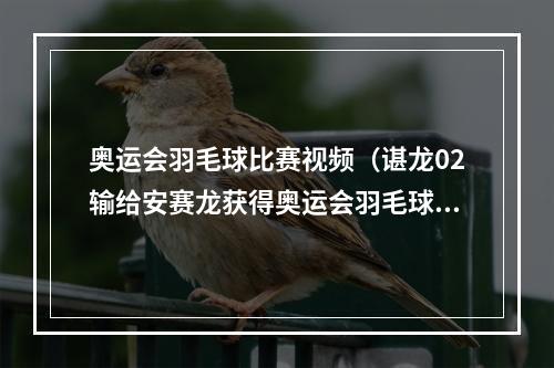 奥运会羽毛球比赛视频（谌龙02输给安赛龙获得奥运会羽毛球男单亚军）