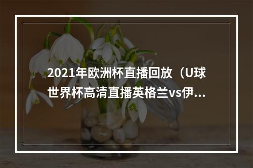 2021年欧洲杯直播回放（U球世界杯高清直播英格兰vs伊朗）