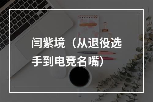 闫紫境（从退役选手到电竞名嘴）